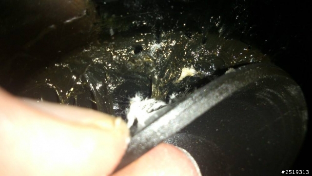 這是吸盤吧