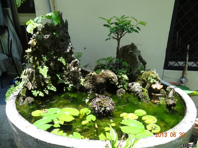 台南印月農莊露營樂