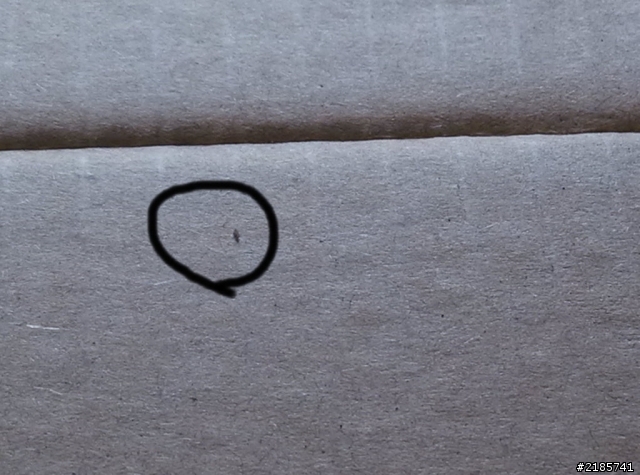 寄來的紙箱,內有玄機