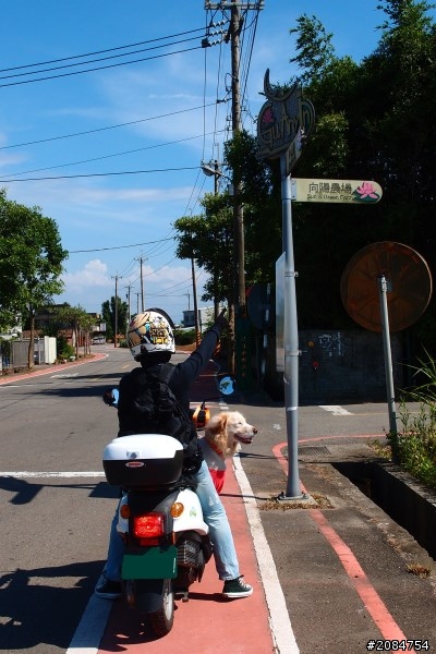 省道一姐輕省生活完結-那個夏天