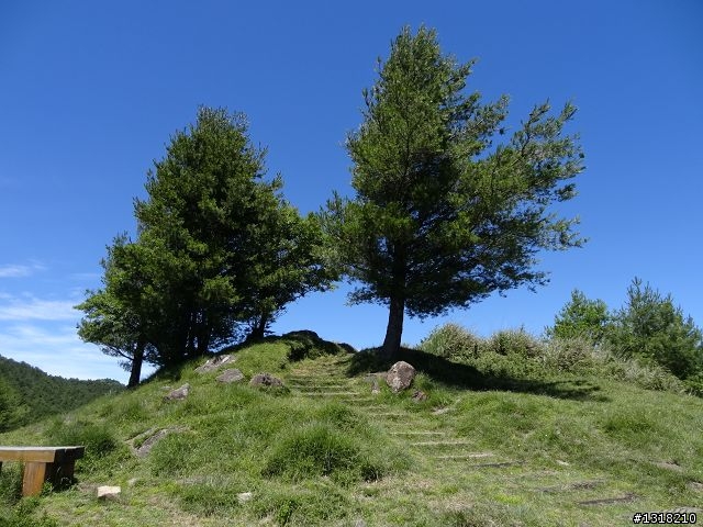 親子旅遊-就是要去塔塔加