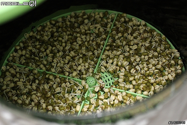 在家當農夫！歐卡爾全自動豆芽機體驗分享