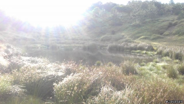 人生首露/福壽山農場0720