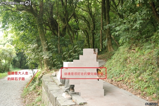 請教，照片中這個地方是陽明山的哪邊？