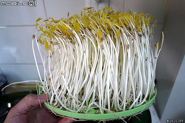 在家當農夫！歐卡爾全自動豆芽機體驗分享