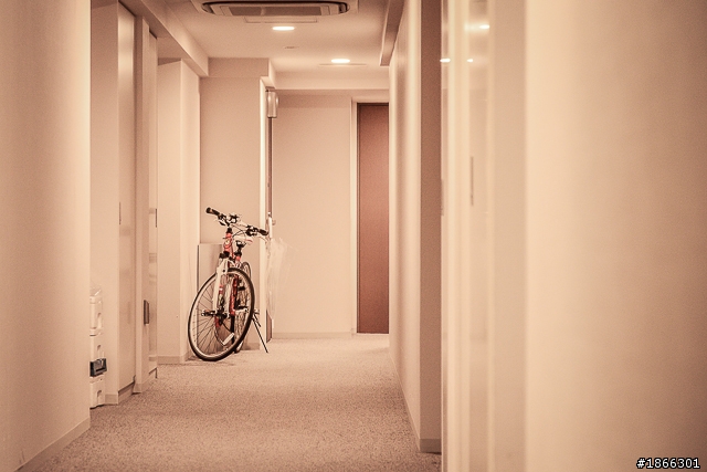 Bicycle in tokyo - 東京的單車街拍