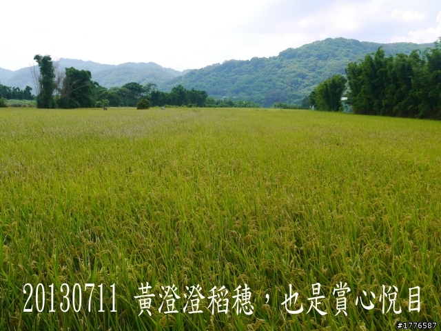 20130711鶯歌大溪三坑石門水庫之旅