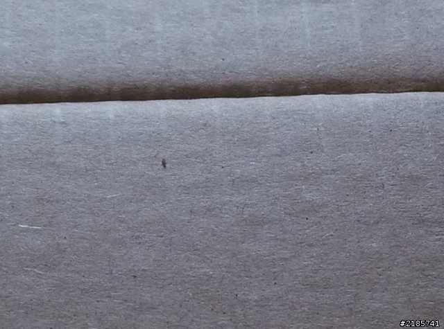 寄來的紙箱,內有玄機