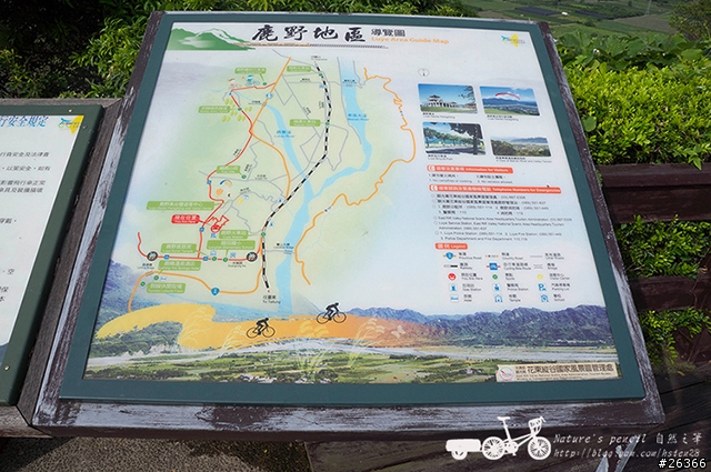 【一個人的旅行】兩鐵台東之旅 bike friday〔伯朗大道、阿智農場、台東熱氣球、鹿野高台、龍田自行車、知本溫泉、卑南豬血湯、徐媽媽蔥油餅〕
