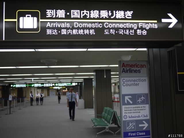 東京伊豆靜岡之旅
