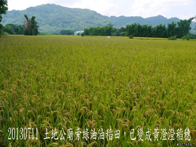 20130711鶯歌大溪三坑石門水庫之旅