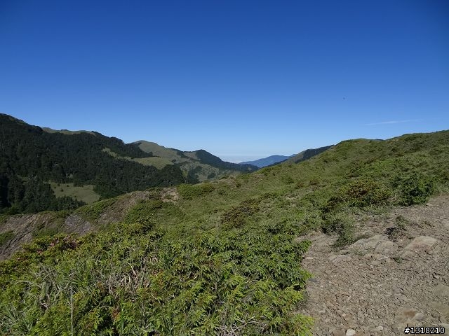 親子旅遊-合歡山晴(下)