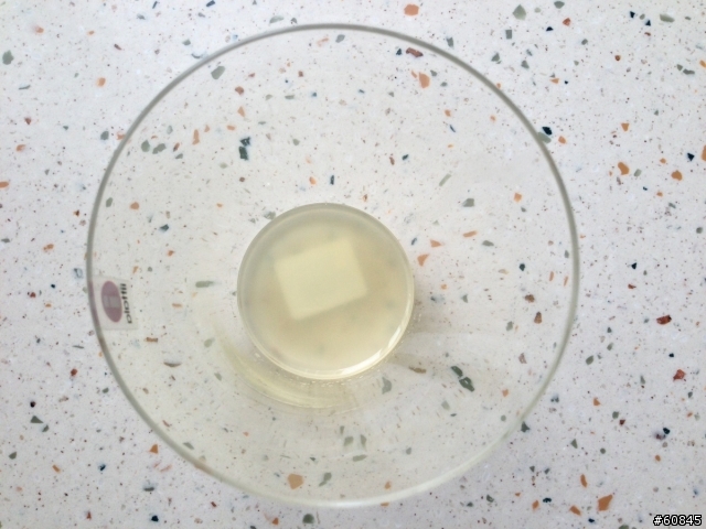 [DIY] 健康無負擔的檸檬水