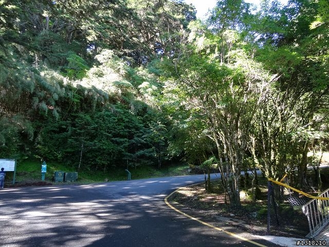 親子旅遊-就是要去塔塔加