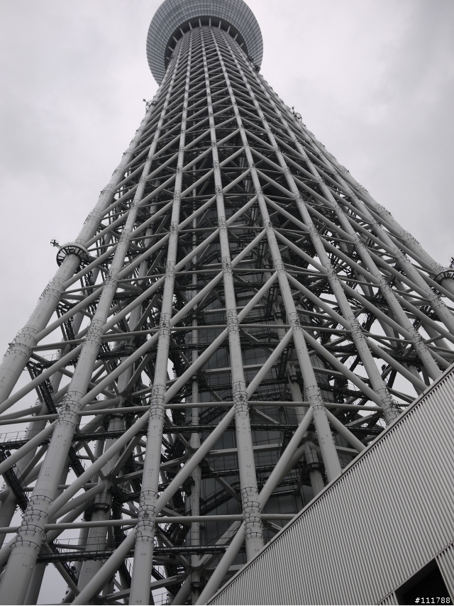 東京伊豆靜岡之旅