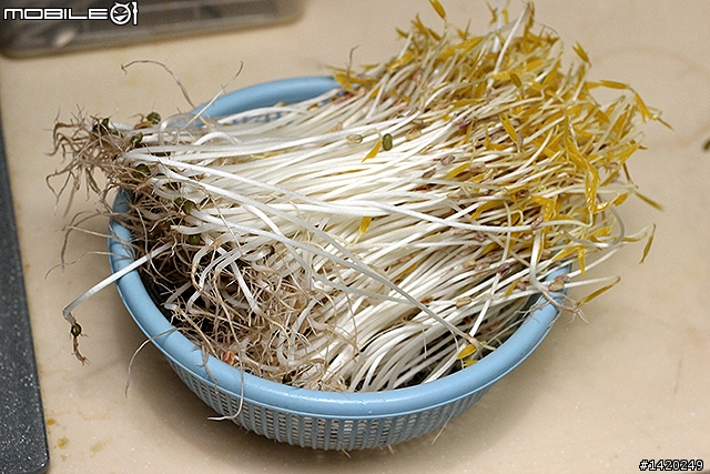 在家當農夫！歐卡爾全自動豆芽機體驗分享