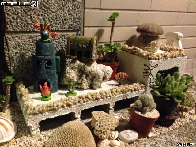 進擊的仙人掌!!