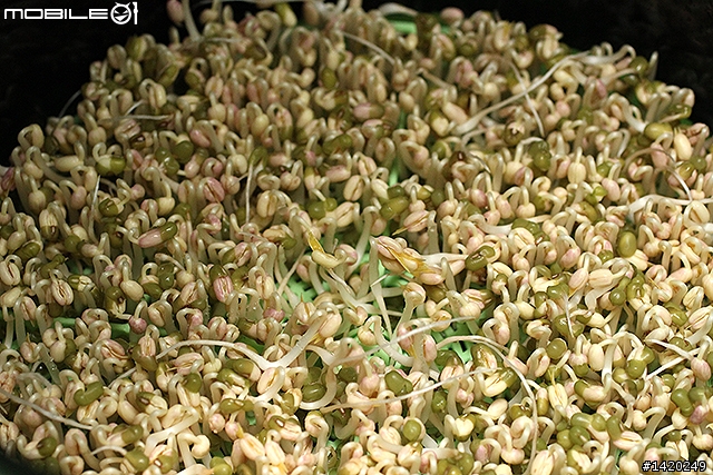 在家當農夫！歐卡爾全自動豆芽機體驗分享