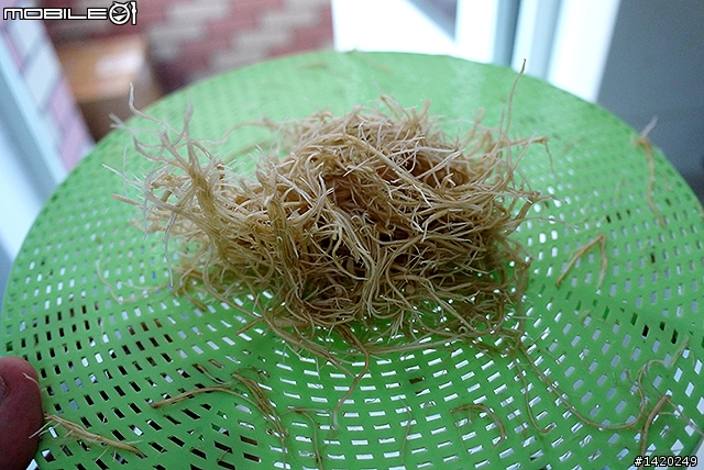 在家當農夫！歐卡爾全自動豆芽機體驗分享