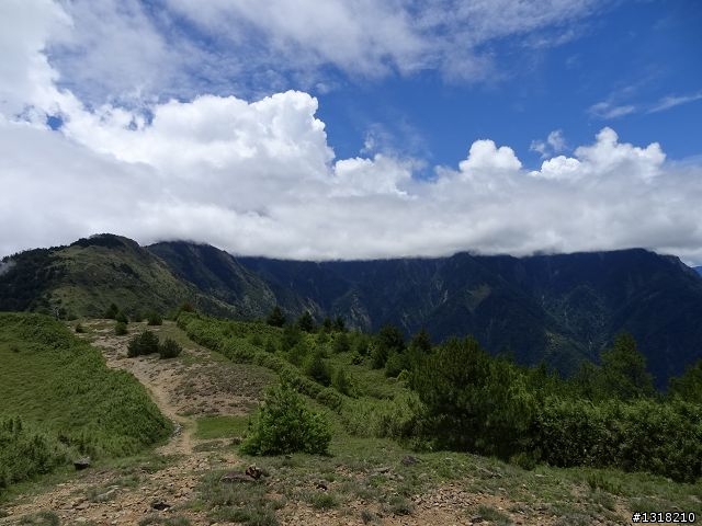 親子旅遊-就是要去塔塔加