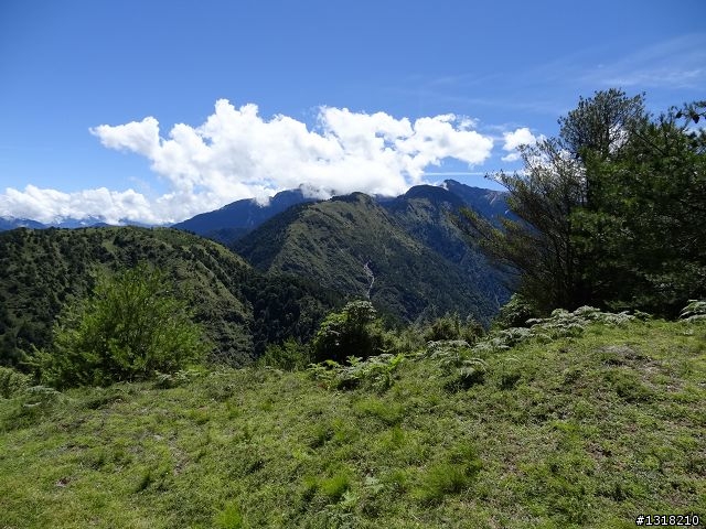 親子旅遊-就是要去塔塔加