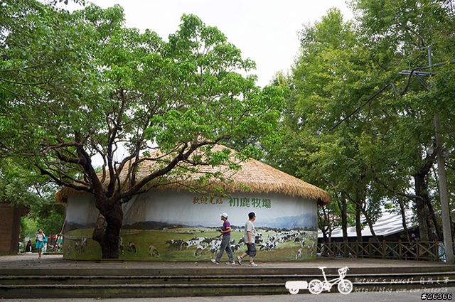 【一個人的旅行】兩鐵台東之旅 bike friday〔伯朗大道、阿智農場、台東熱氣球、鹿野高台、龍田自行車、知本溫泉、卑南豬血湯、徐媽媽蔥油餅〕