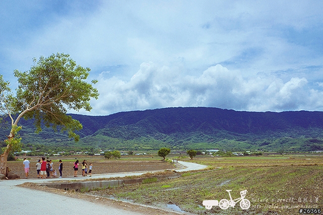 【一個人的旅行】兩鐵台東之旅 bike friday〔伯朗大道、阿智農場、台東熱氣球、鹿野高台、龍田自行車、知本溫泉、卑南豬血湯、徐媽媽蔥油餅〕