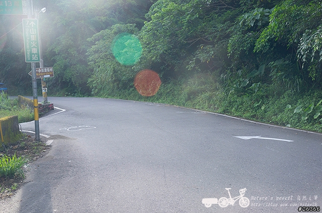 【一個人的旅行】兩鐵台東之旅 bike friday〔伯朗大道、阿智農場、台東熱氣球、鹿野高台、龍田自行車、知本溫泉、卑南豬血湯、徐媽媽蔥油餅〕