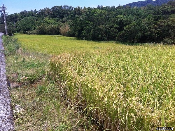 初體驗，三重→大屯山(7/27更新~續行北海岸)