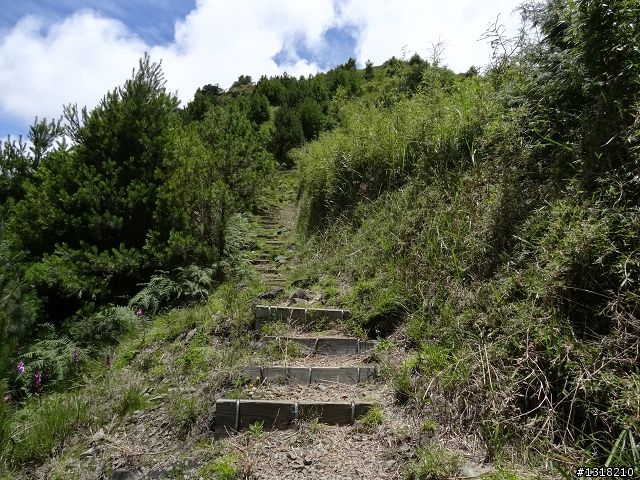 親子旅遊-就是要去塔塔加