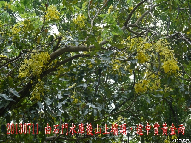 20130711鶯歌大溪三坑石門水庫之旅