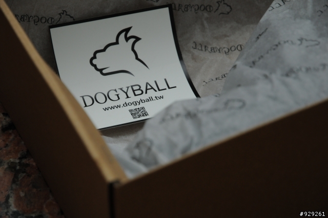 ((開箱))DOGYBALL~G-28規矩中的不規矩