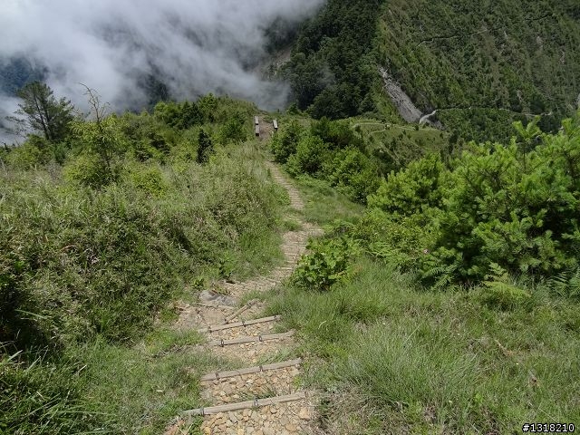 親子旅遊-就是要去塔塔加