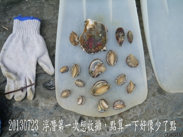 20130723   鼻頭角浮潛