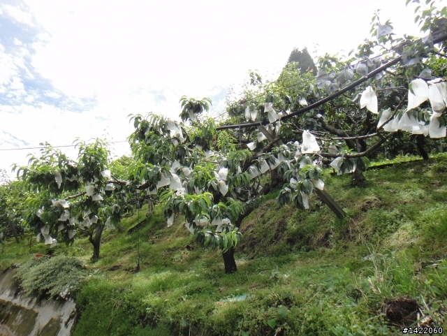 第三屆 超越巔峰台灣屋脊 中央山脈極致挑戰 Over The Top