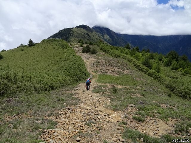 親子旅遊-就是要去塔塔加