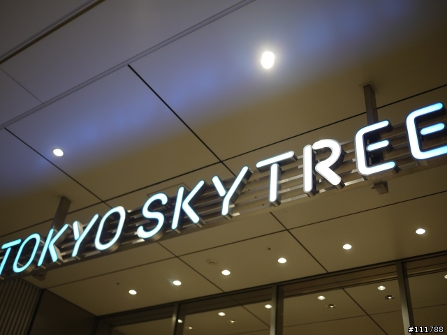 東京伊豆靜岡之旅