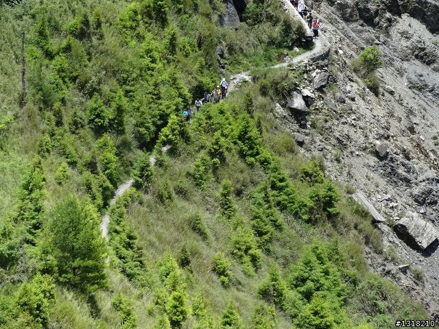 親子旅遊-就是要去塔塔加