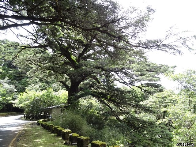 親子旅遊-就是要去塔塔加