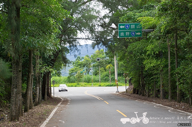 【一個人的旅行】兩鐵台東之旅 bike friday〔伯朗大道、阿智農場、台東熱氣球、鹿野高台、龍田自行車、知本溫泉、卑南豬血湯、徐媽媽蔥油餅〕