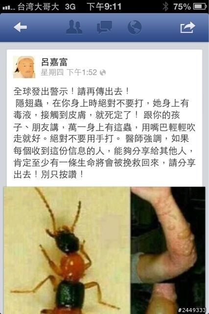 天阿發現終極毒蟲