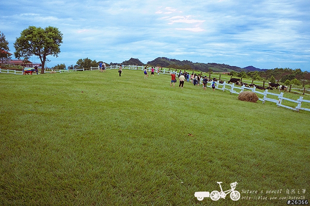 【一個人的旅行】兩鐵台東之旅 bike friday〔伯朗大道、阿智農場、台東熱氣球、鹿野高台、龍田自行車、知本溫泉、卑南豬血湯、徐媽媽蔥油餅〕