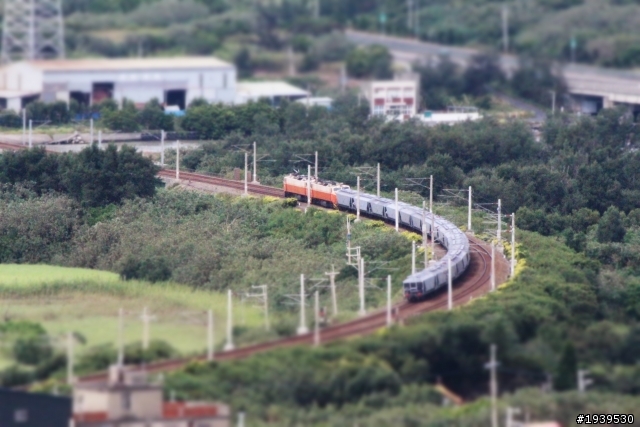 650D+騰龍70-300mm a005新手初次PO相片請多指教