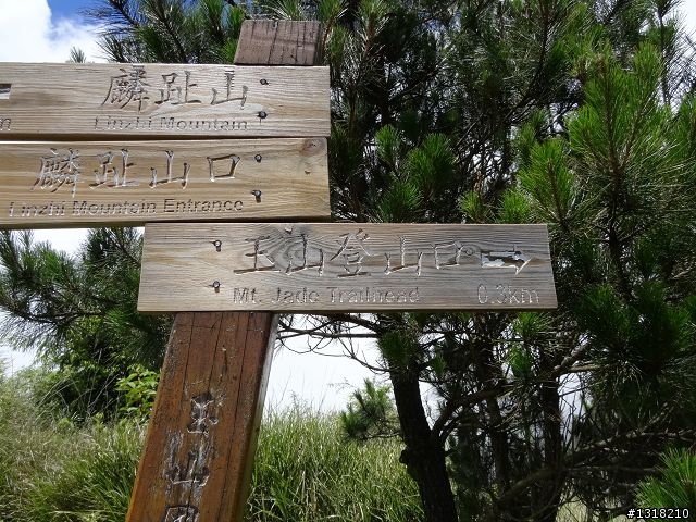 親子旅遊-就是要去塔塔加