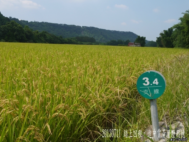 20130711鶯歌大溪三坑石門水庫之旅
