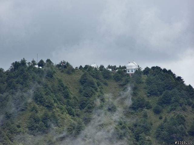親子旅遊-就是要去塔塔加