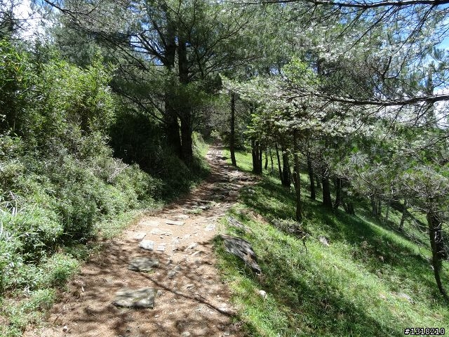親子旅遊-就是要去塔塔加
