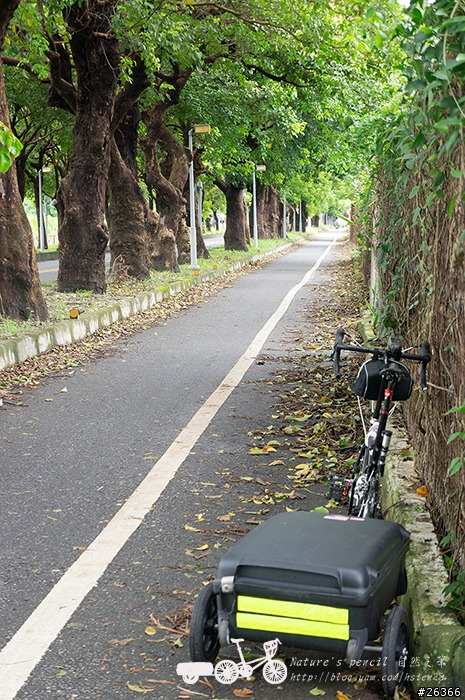 【一個人的旅行】兩鐵台東之旅 bike friday〔伯朗大道、阿智農場、台東熱氣球、鹿野高台、龍田自行車、知本溫泉、卑南豬血湯、徐媽媽蔥油餅〕