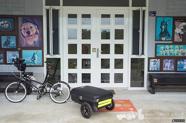 【一個人的旅行】兩鐵台東之旅 bike friday〔伯朗大道、阿智農場、台東熱氣球、鹿野高台、龍田自行車、知本溫泉、卑南豬血湯、徐媽媽蔥油餅〕