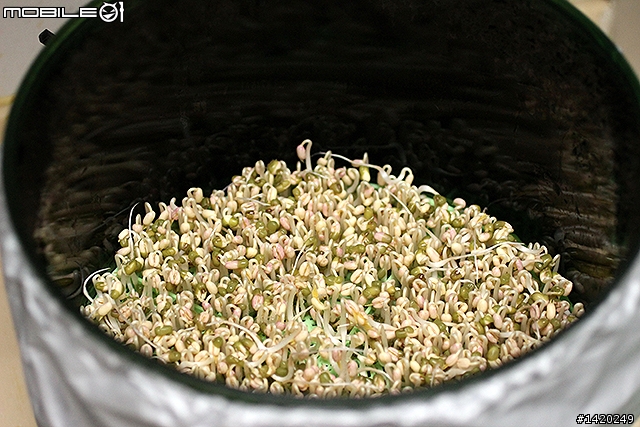 在家當農夫！歐卡爾全自動豆芽機體驗分享